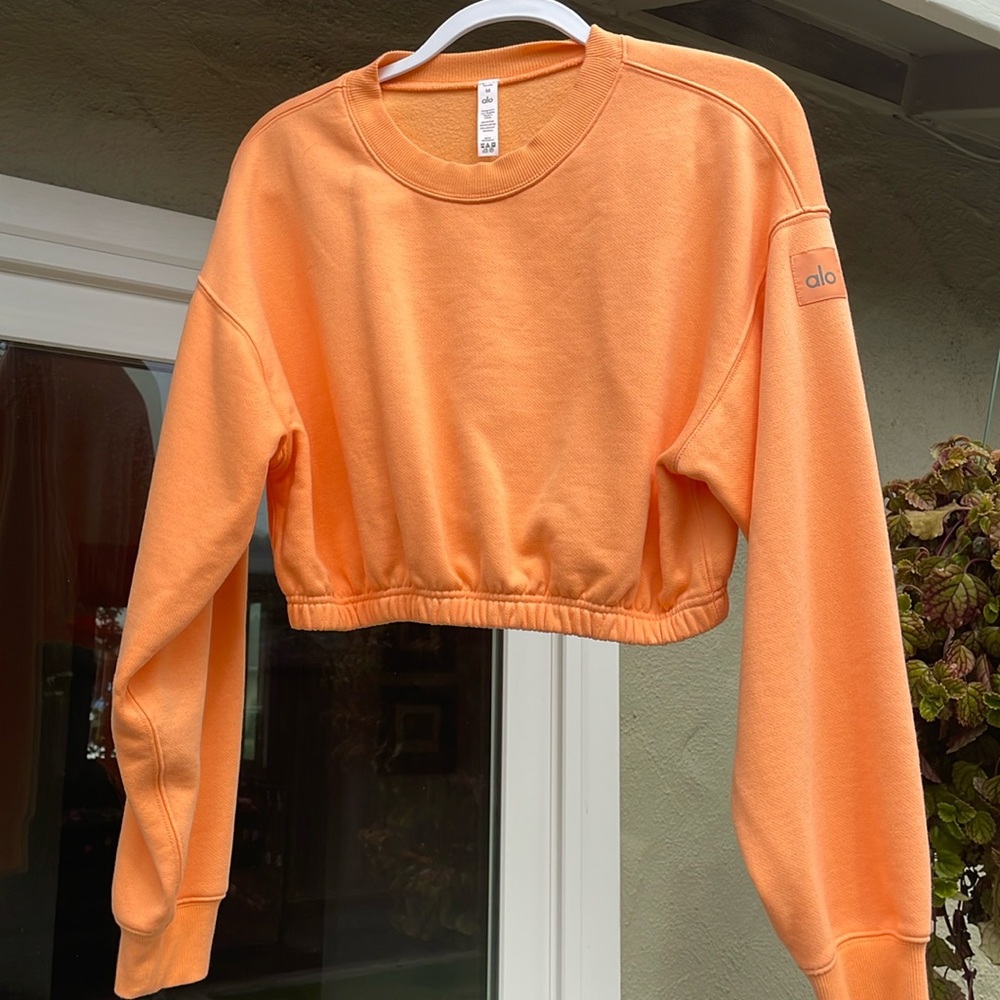 Alo Medium cropped sweatshirt. Size medium. Never been worn